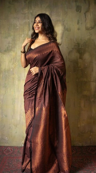 Extraordinary Brown Soft Silk Saree With Intricate Blouse Piece