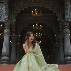 Elegant Banarasi Silk Saree with Gold Zari Embellishments Pista Green