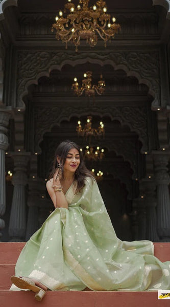 Elegant Banarasi Silk Saree with Gold Zari Embellishments Pista Green
