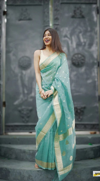 Elegant Banarasi Silk Saree with Gold Zari Embellishments Sky Blue
