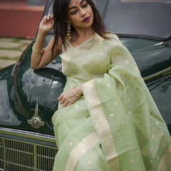 Elegant Banarasi Silk Saree with Gold Zari Embellishments Pista Green