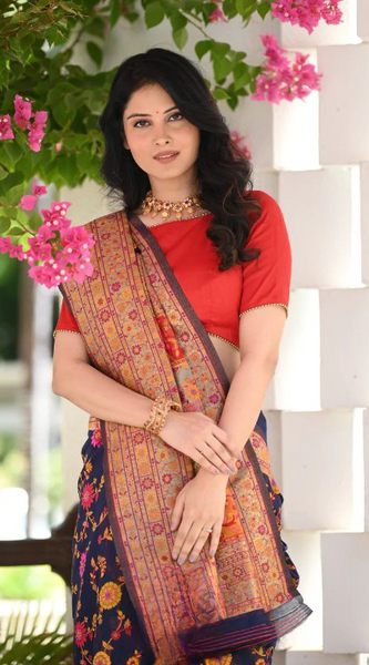 Elegant Banarasi Silk Saree with Zari Border & Pallu Blue