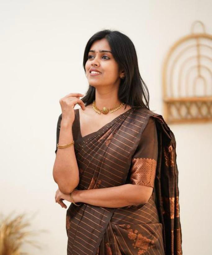 Designer Banarasi Silk Saree for Party & Festive Brown Saree