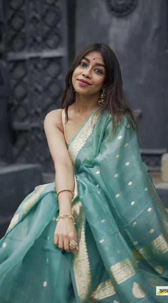 Elegant Banarasi Silk Saree with Gold Zari Embellishments Sky Blue
