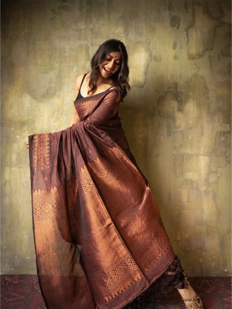 Extraordinary Brown Soft Silk Saree With Intricate Blouse Piece