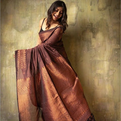 Extraordinary Brown Soft Silk Saree With Intricate Blouse Piece