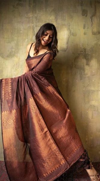 Extraordinary Brown Soft Silk Saree With Intricate Blouse Piece