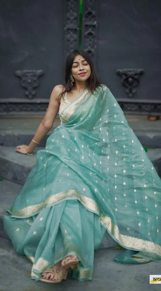 Elegant Banarasi Silk Saree with Gold Zari Embellishments Sky Blue
