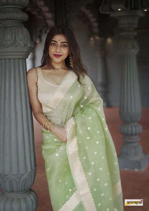 Elegant Banarasi Silk Saree with Gold Zari Embellishments Pista Green