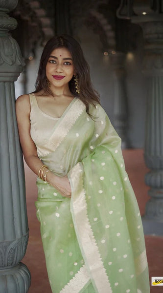 Elegant Banarasi Silk Saree with Gold Zari Embellishments Pista Green