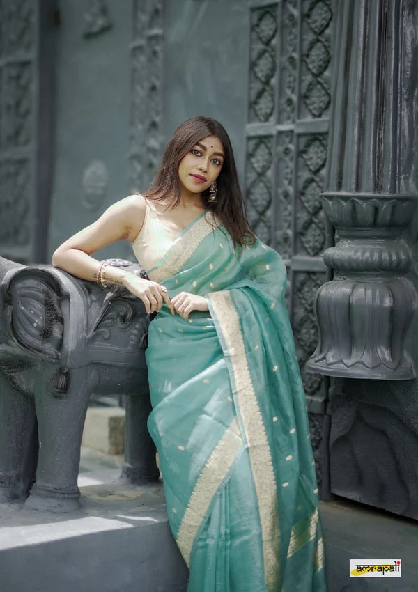Elegant Banarasi Silk Saree with Gold Zari Embellishments Sky Blue