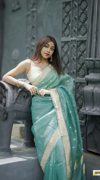 Elegant Banarasi Silk Saree with Gold Zari Embellishments Sky Blue