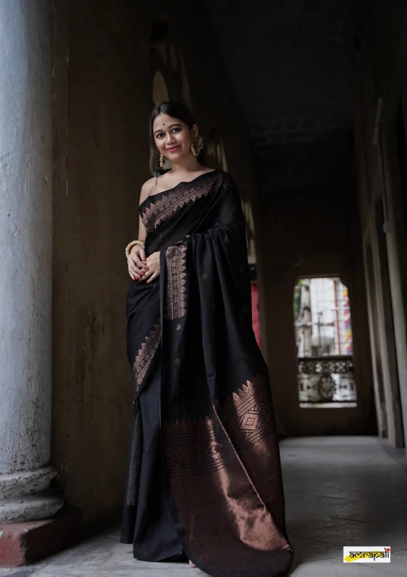 Extraordinary Black Soft Silk Saree With Intricate Blouse Piece