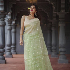 Elegant Banarasi Silk Saree with Gold Zari Embellishments Pista Green