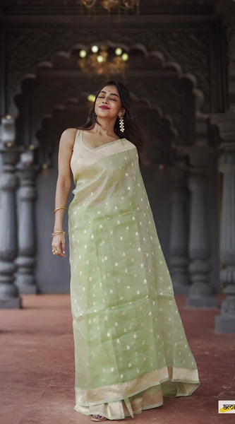 Elegant Banarasi Silk Saree with Gold Zari Embellishments Pista Green