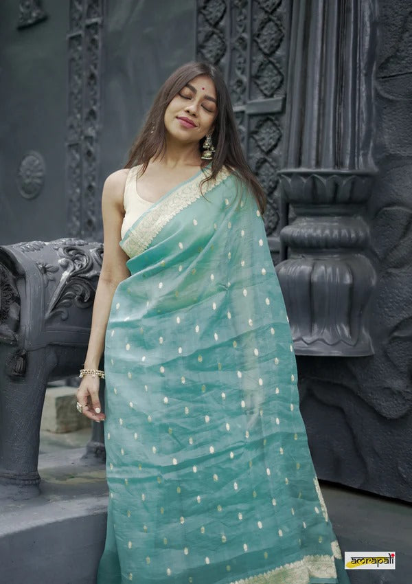 Elegant Banarasi Silk Saree with Gold Zari Embellishments Sky Blue