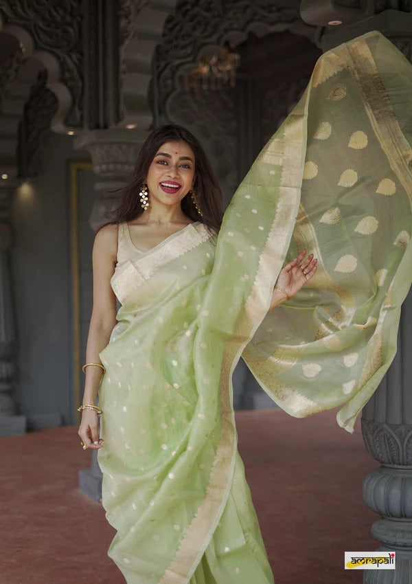 Elegant Banarasi Silk Saree with Gold Zari Embellishments Pista Green