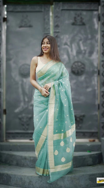 Elegant Banarasi Silk Saree with Gold Zari Embellishments Sky Blue