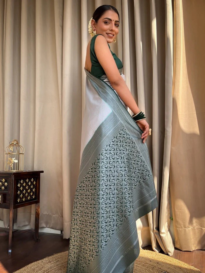 Enduring Grace: The Rich Heritage of Banarasi Silk Sarees COLOR GREY