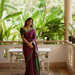 Opulent Banarasi Silk Saree Legacy of Elegance and Tradition