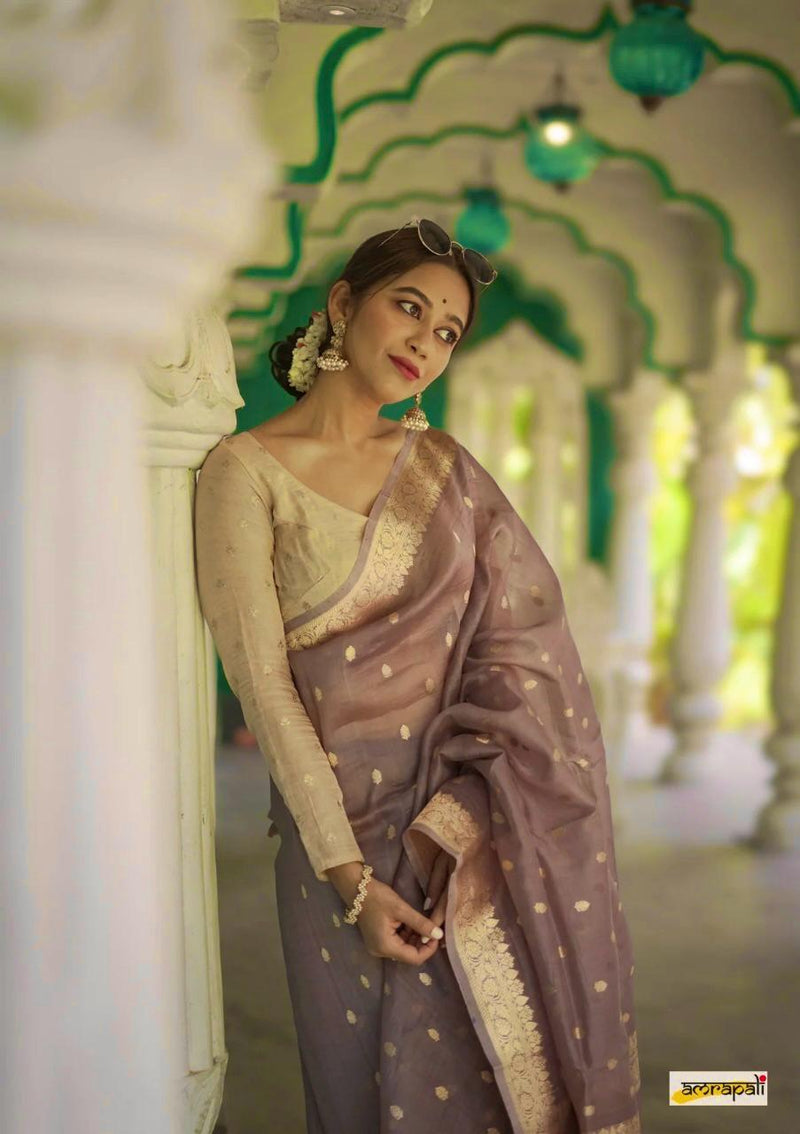 Elegant Banarasi Silk Saree with Gold Zari Embellishments Brown