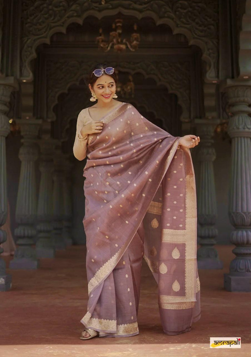 Elegant Banarasi Silk Saree with Gold Zari Embellishments Brown