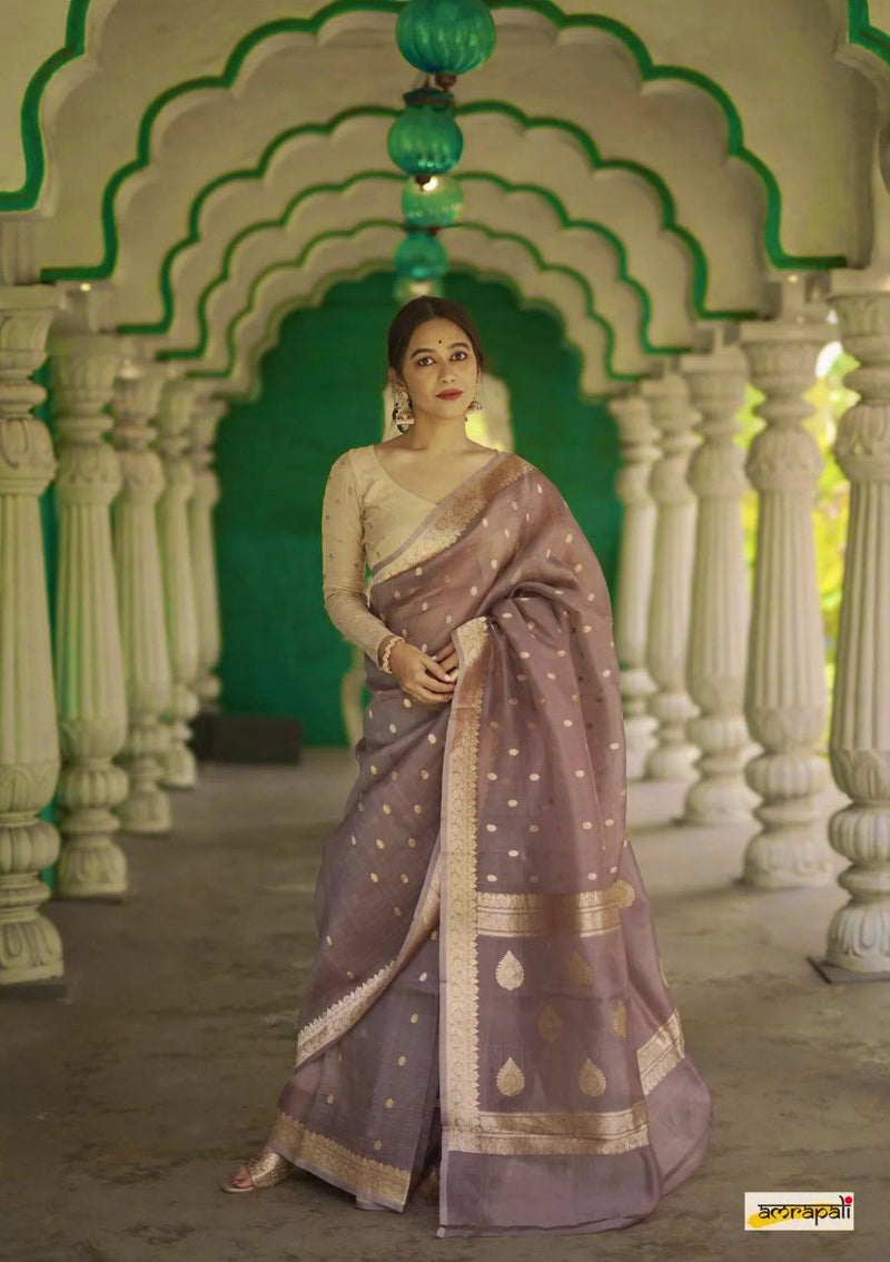 Elegant Banarasi Silk Saree with Gold Zari Embellishments Brown