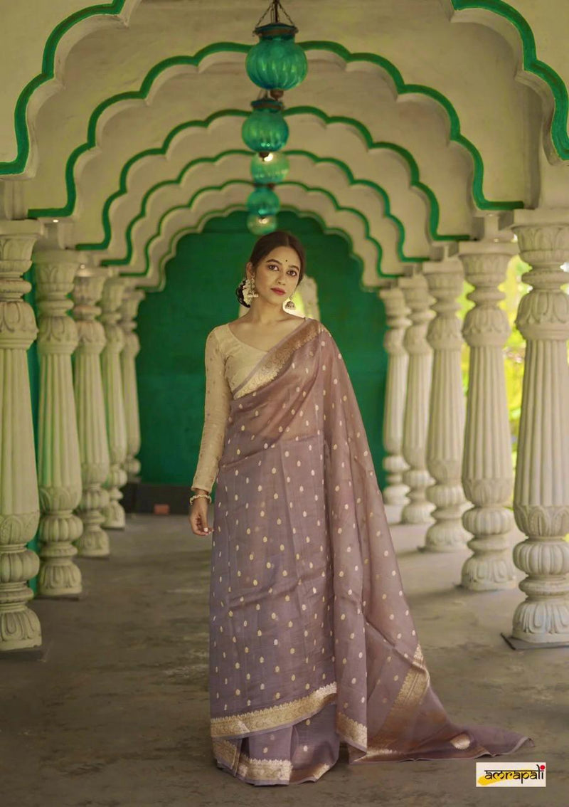Elegant Banarasi Silk Saree with Gold Zari Embellishments Brown