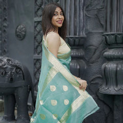Elegant Banarasi Silk Saree with Gold Zari Embellishments Sky Blue