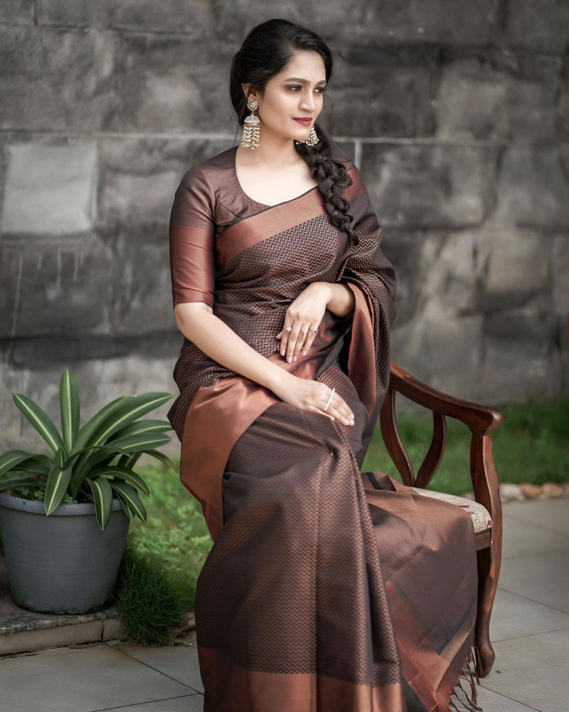 Designer Silk Saree with Gorgeous Zari Embroidery