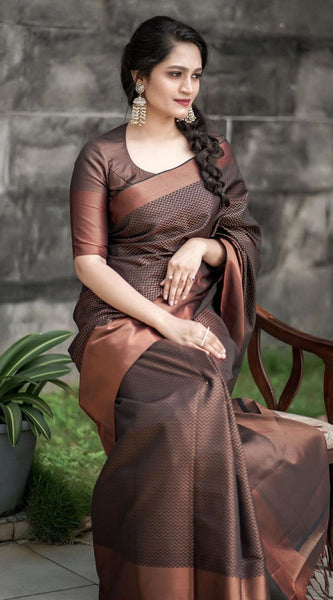 Designer Silk Saree with Gorgeous Zari Embroidery