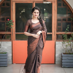 Designer Silk Saree with Gorgeous Zari Embroidery