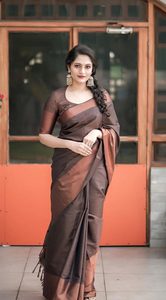 Designer Silk Saree with Gorgeous Zari Embroidery