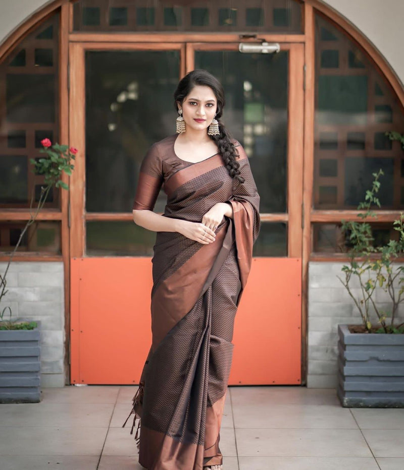 Designer Silk Saree with Gorgeous Zari Embroidery