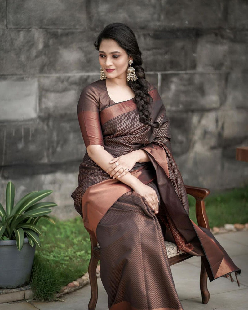 Designer Silk Saree with Gorgeous Zari Embroidery