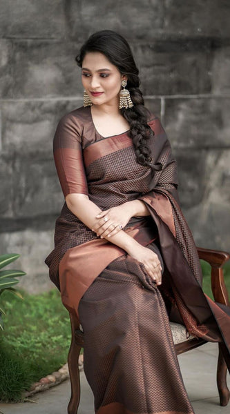 Designer Silk Saree with Gorgeous Zari Embroidery