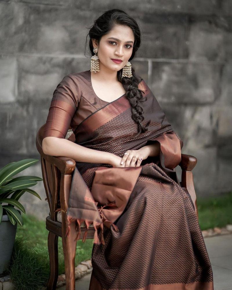 Designer Silk Saree with Gorgeous Zari Embroidery