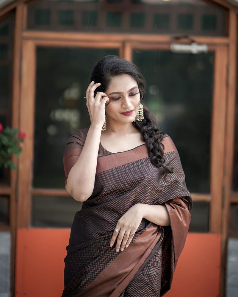 Designer Silk Saree with Gorgeous Zari Embroidery