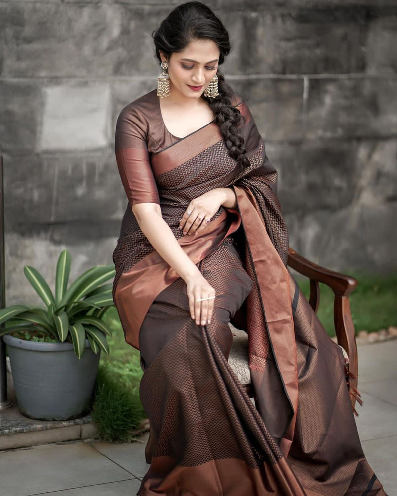 Designer Silk Saree with Gorgeous Zari Embroidery