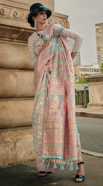 Glowing Sky Kashmiri Model Organza Silk Saree With Smart Blouse Piece