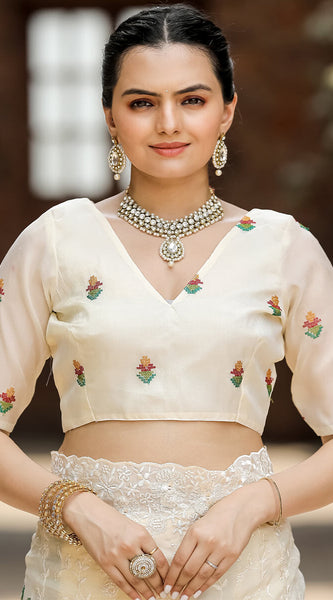 Twirling Beige Embroidery Work Chiffon Silk Saree With Brood Blouse Piece