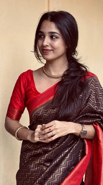Gossamer Black Soft Silk Saree With Demure Blouse Piece